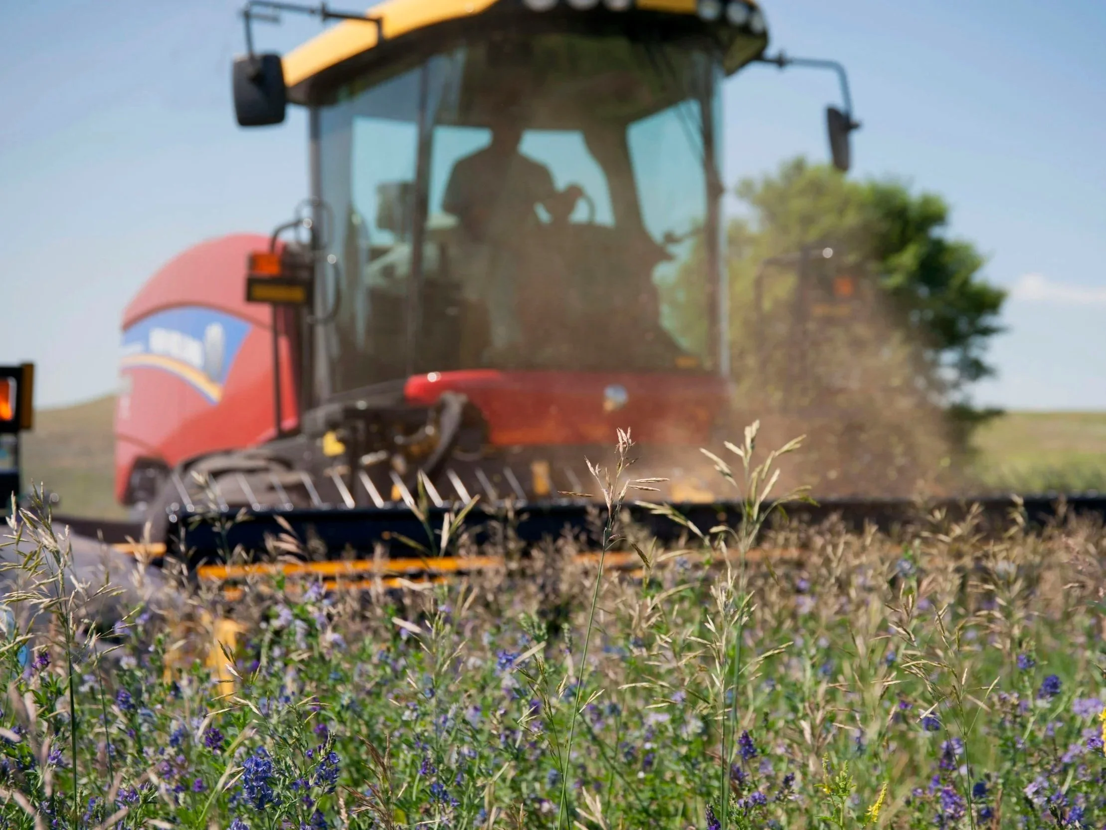 Fitzsimmons Land Co: Matching Fertilizer Yields for $81 Less Per Acre