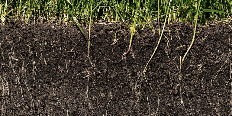 Why Active Biology is Essential for Drought Resilience