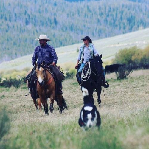 Two people riding horses on a grassy plain with a dog sitting in the foreground, and a landscape of hills and trees in the background.