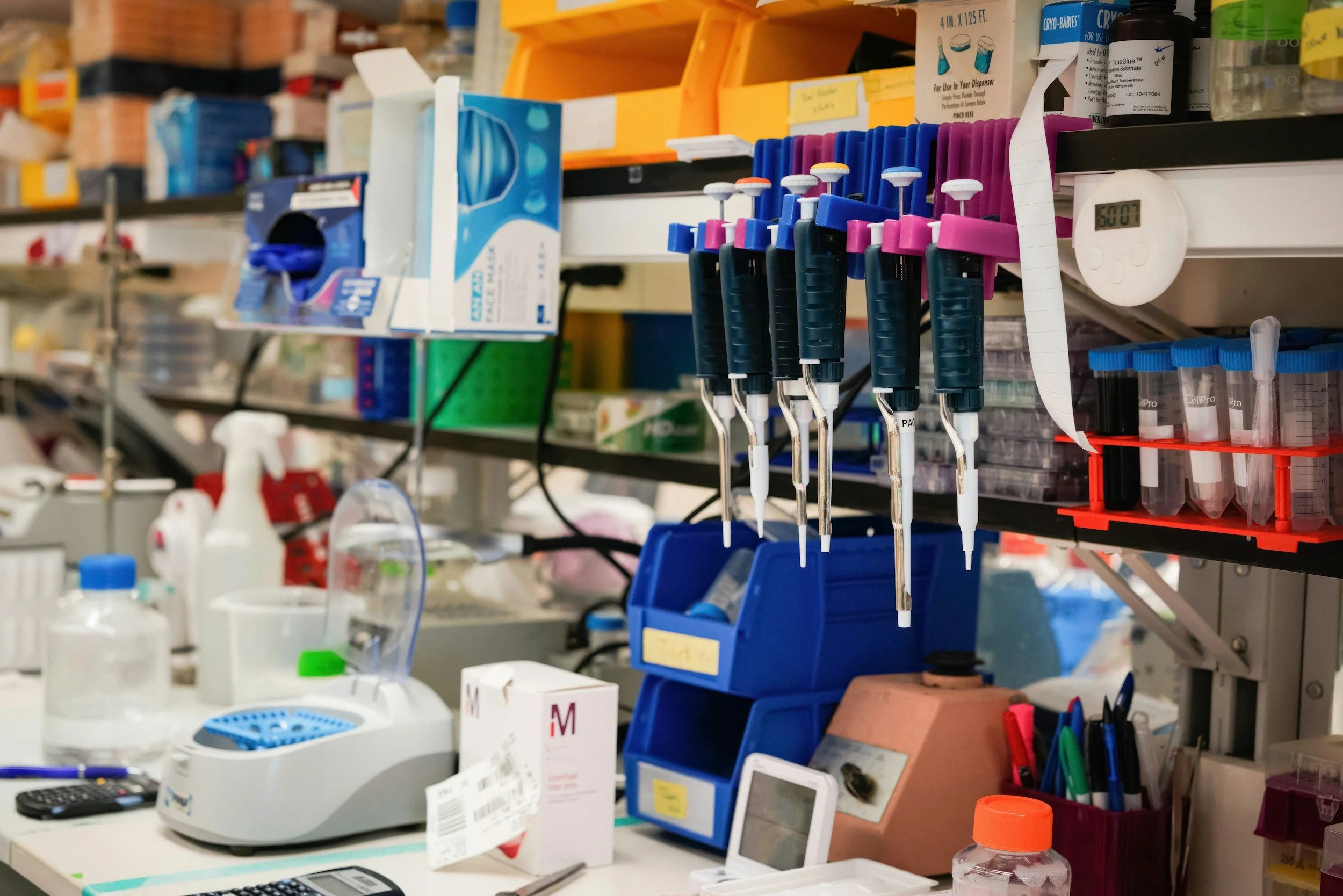 Laboratory workspace with pipettes, lab equipment, and supplies on shelves and a countertop.