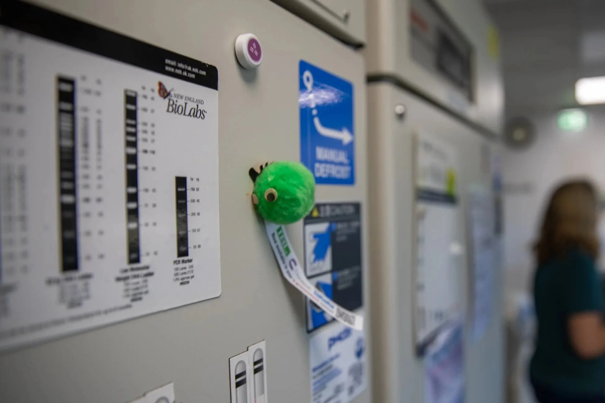 A close-up of a refrigerator with various labels, a small orange plush toy, and a person blurred in the background.
