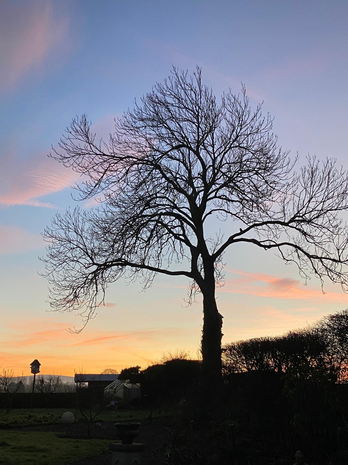 As within, so without