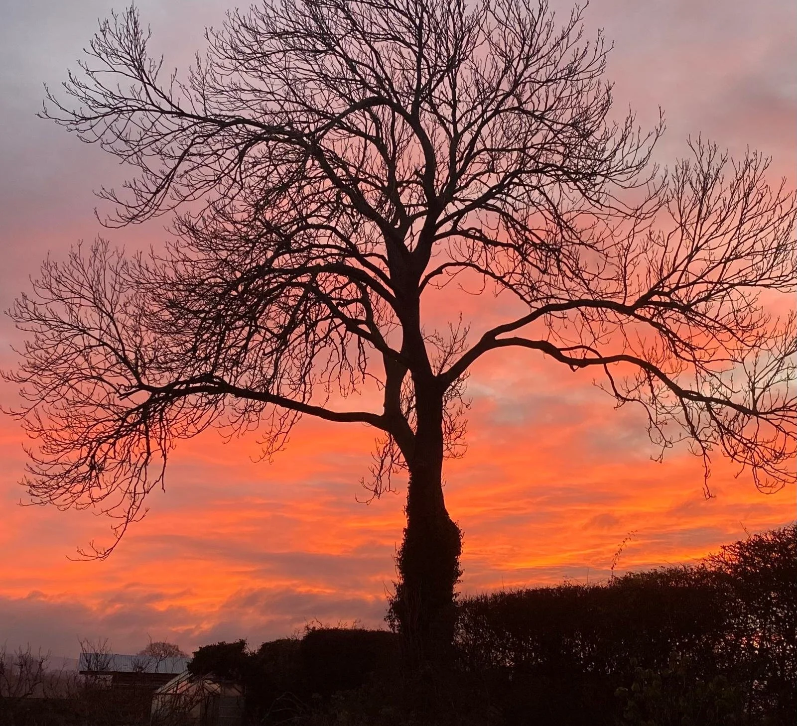 Connection, disconnection