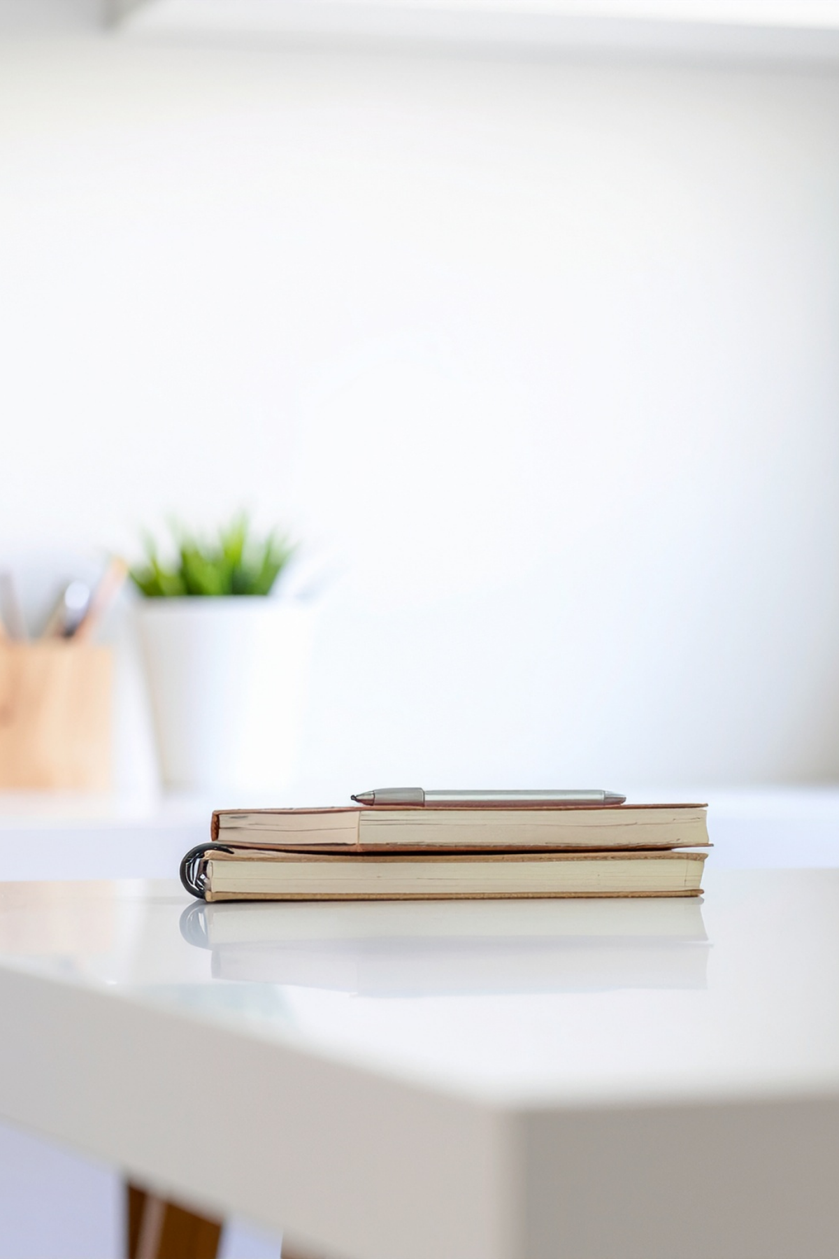 Zwei Bücher mit einem Stift darauf liegen auf einem weißen Tisch, im Hintergrund sind eine Pflanze in einer weißen Vase und ein Behälter mit Schreibutensilien sichtbar.