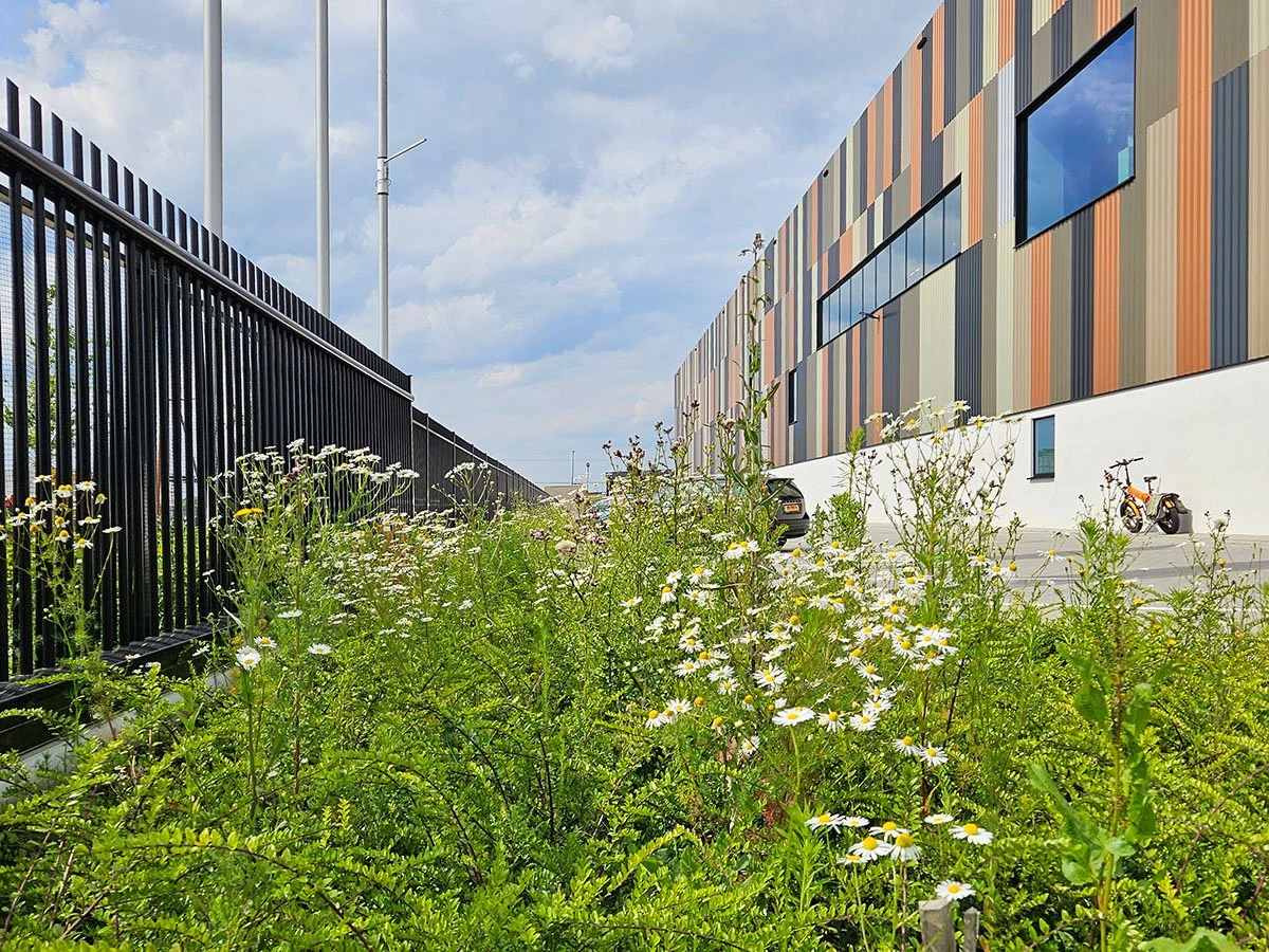 kantoor tuin laten aanpakken groenvoorziening hovenier wierden rijssen holten