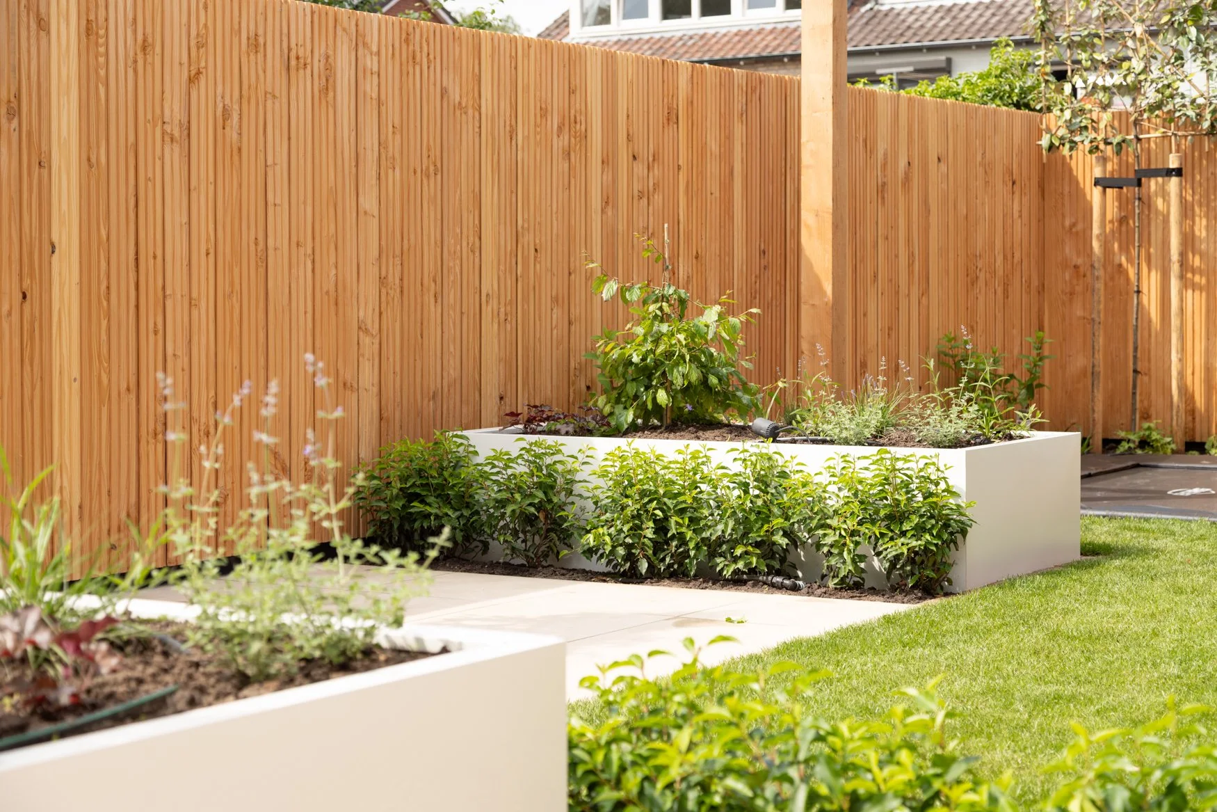 witte plantenbakken met bomen en beplanting