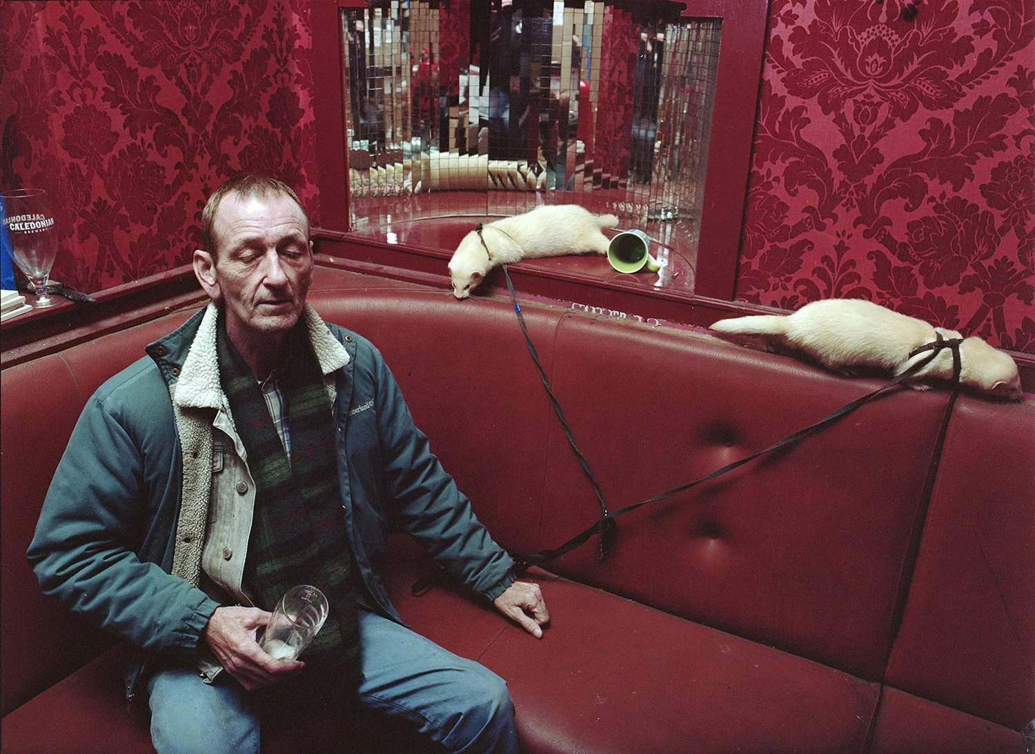 Ferret (Full SIze Edited)2 copy.jpg