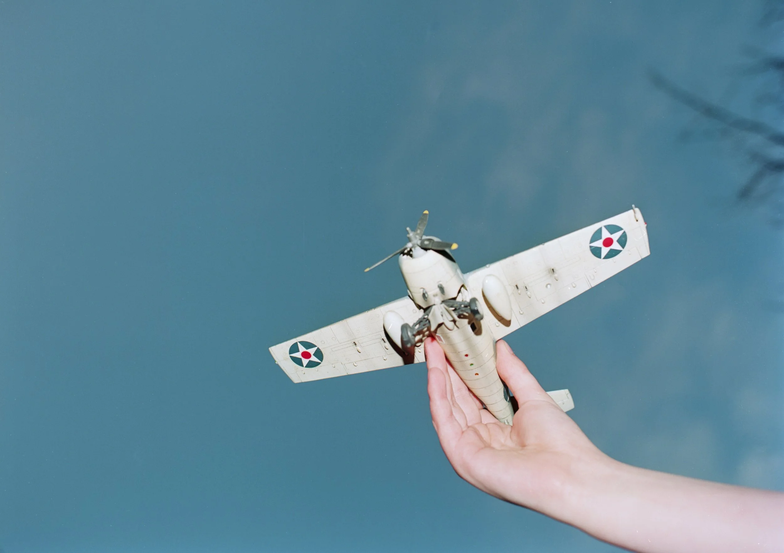 Come into the Garden_1.jpg