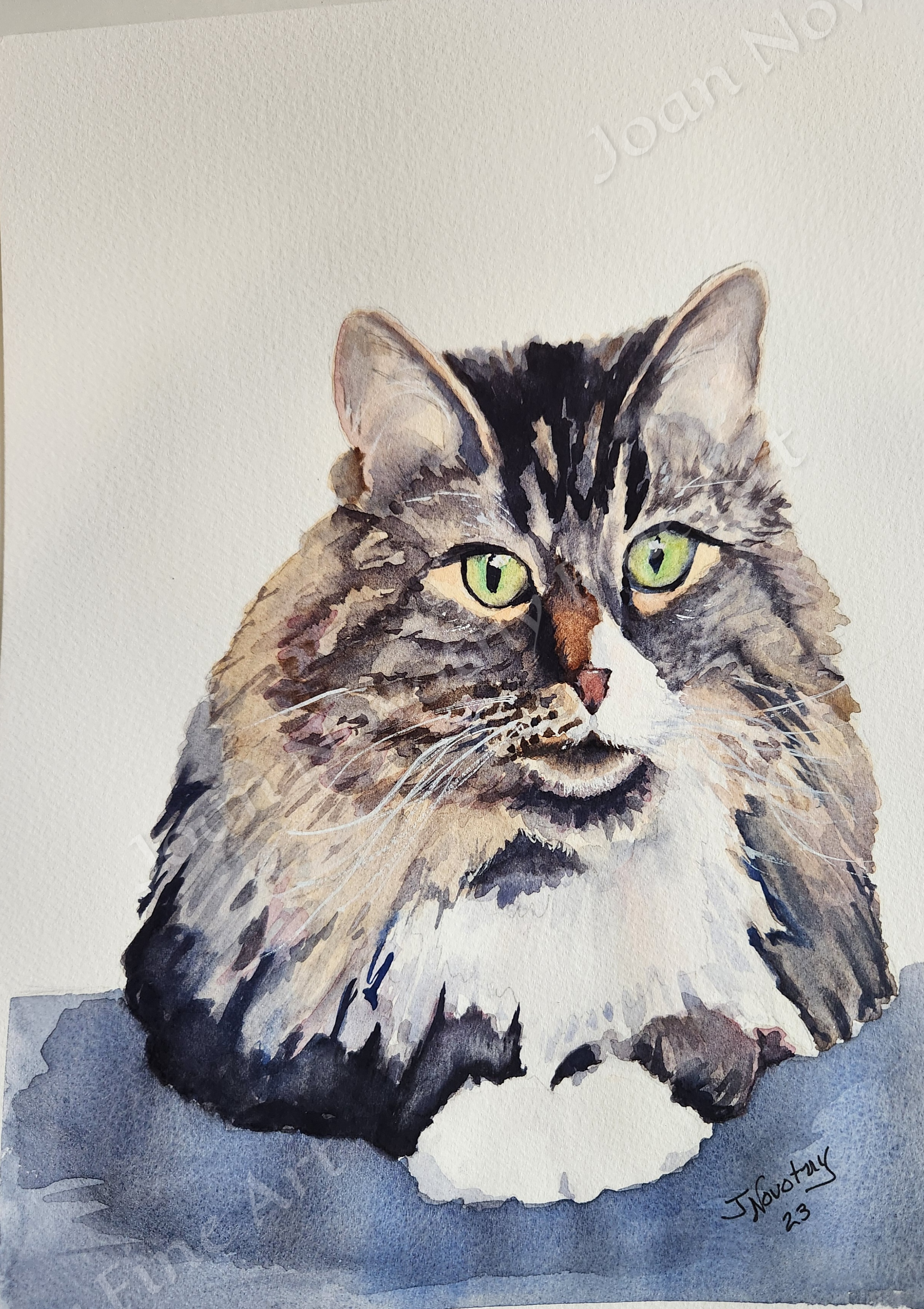 Watercolor painting of a domestic long-haired tabby cat with green eyes, sitting on a blue surface against a light background.