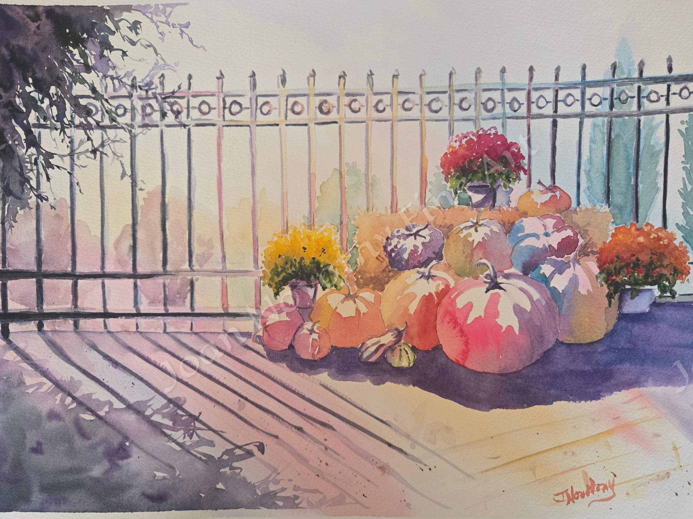 Colorful Pumpkins in the Sunlight