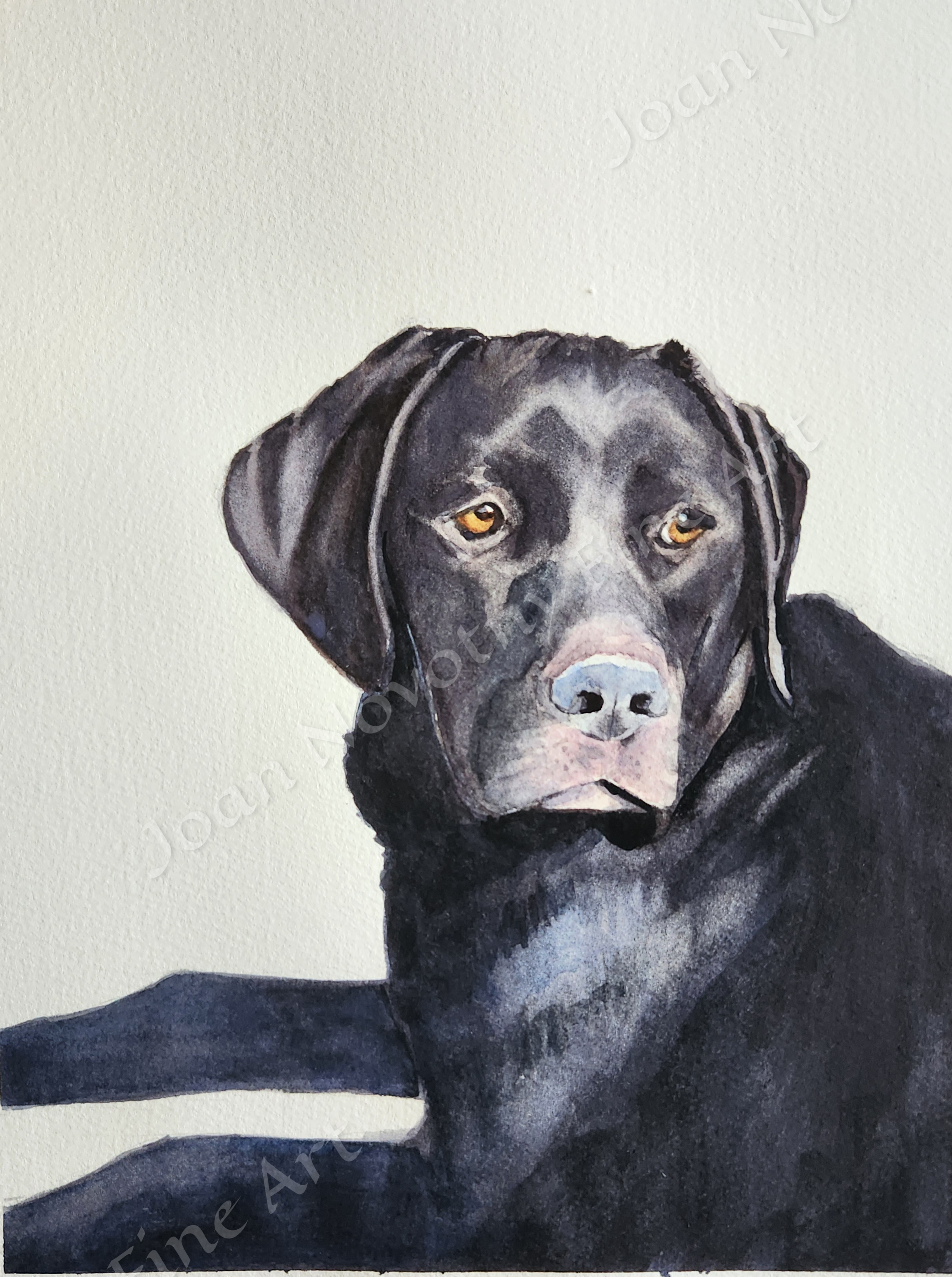 A painting of a black dog with a serious expression, sitting against a plain light background.