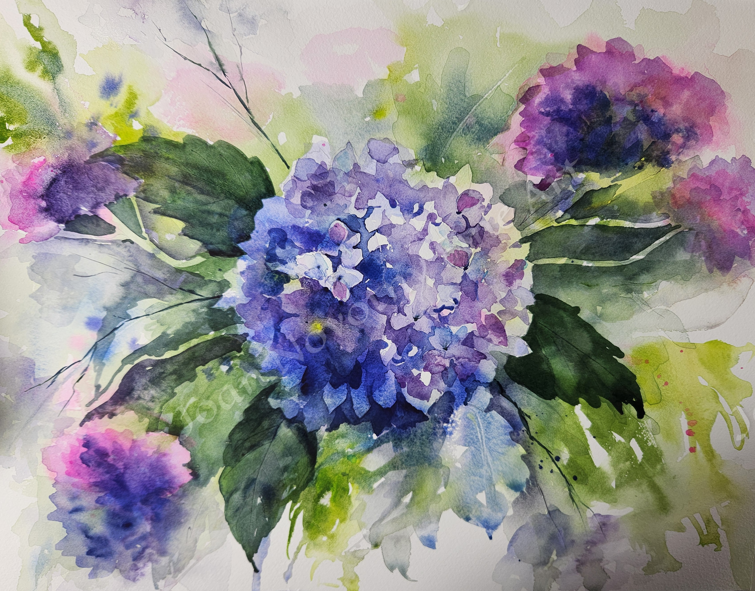 Hydrangea (1).png