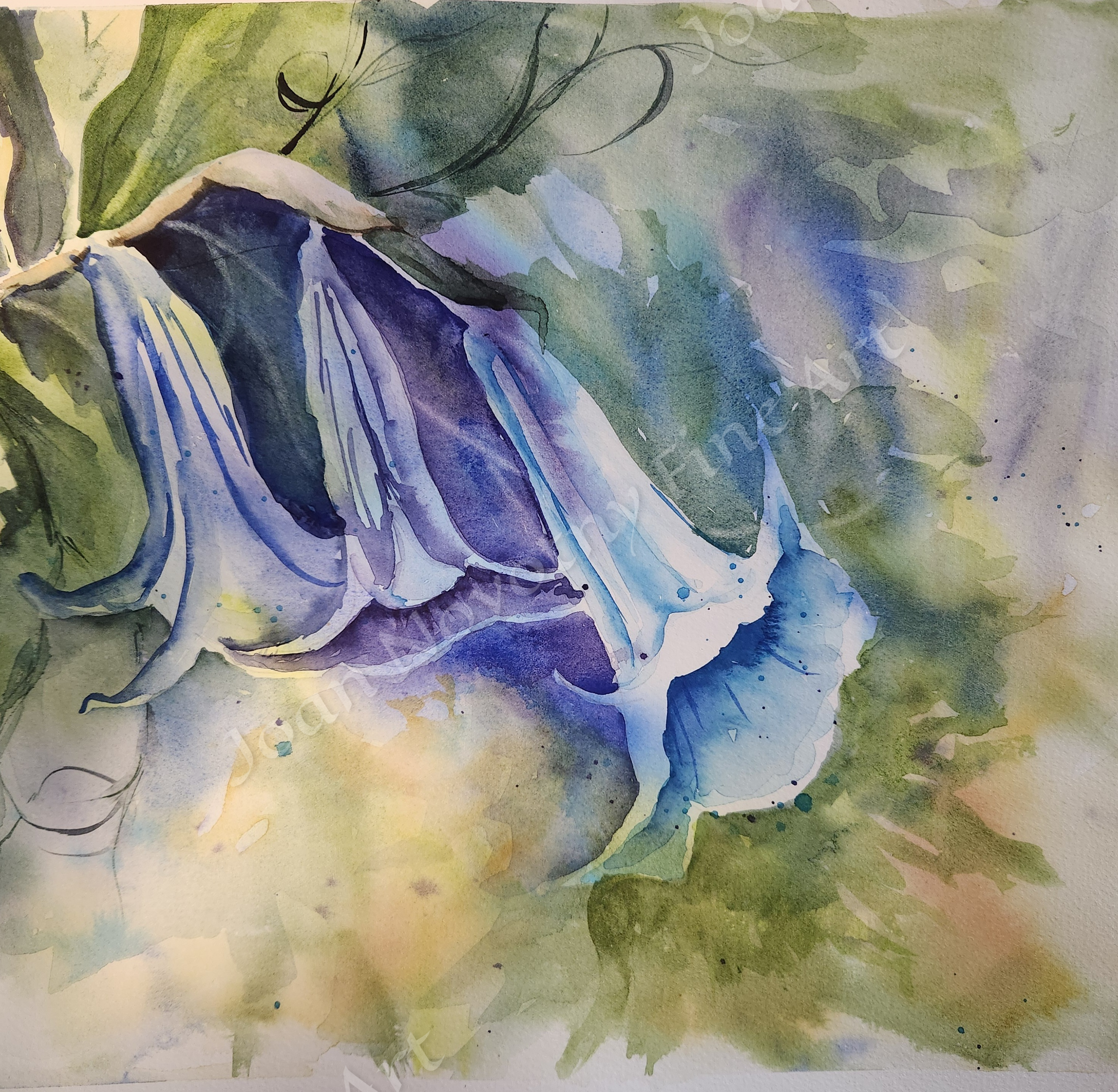 Watercolor painting of a blue and white flower with green leaves in the background.