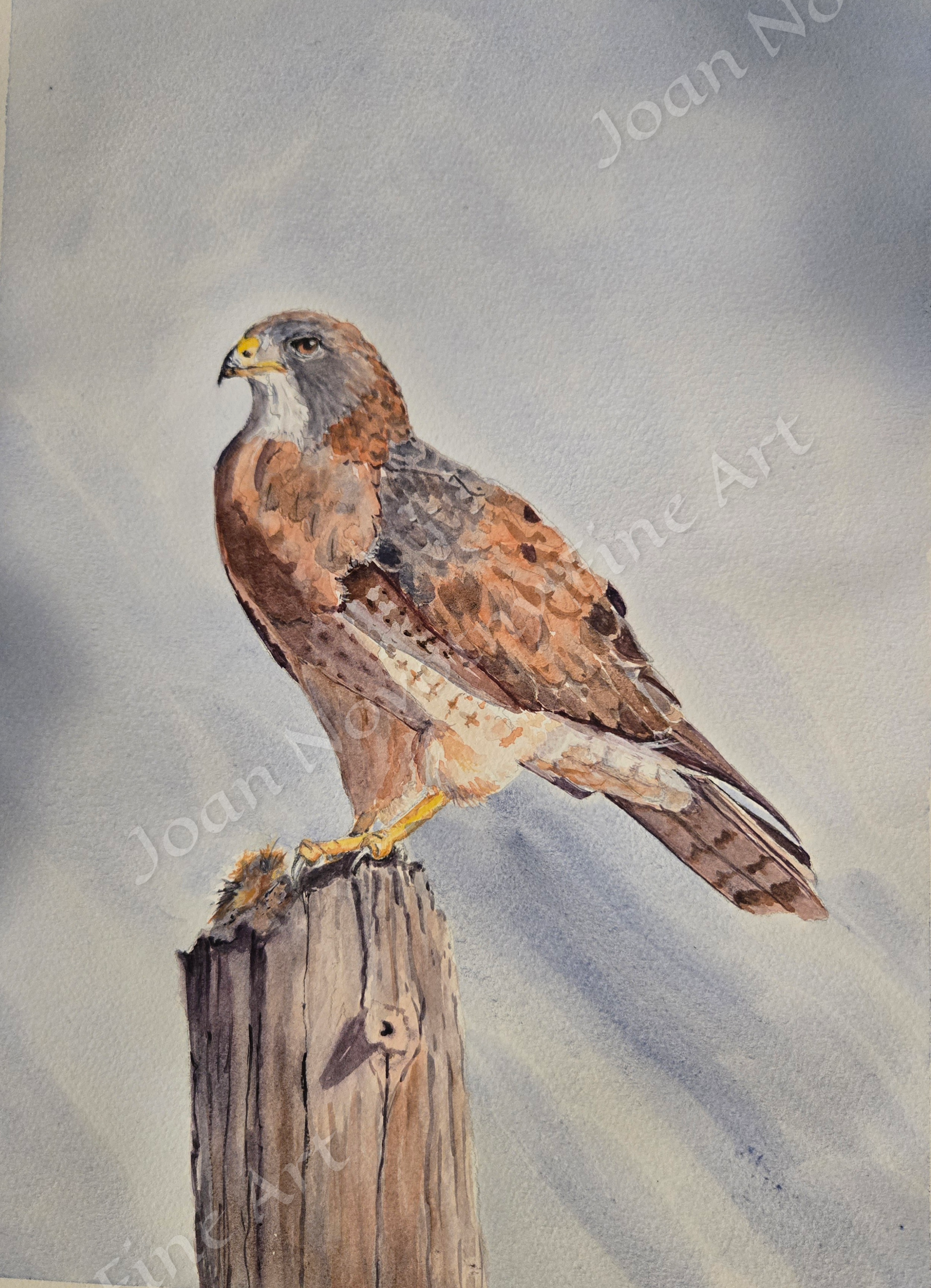 Watercolor painting of a hawk perched on a weathered wooden post against a cloudy sky.