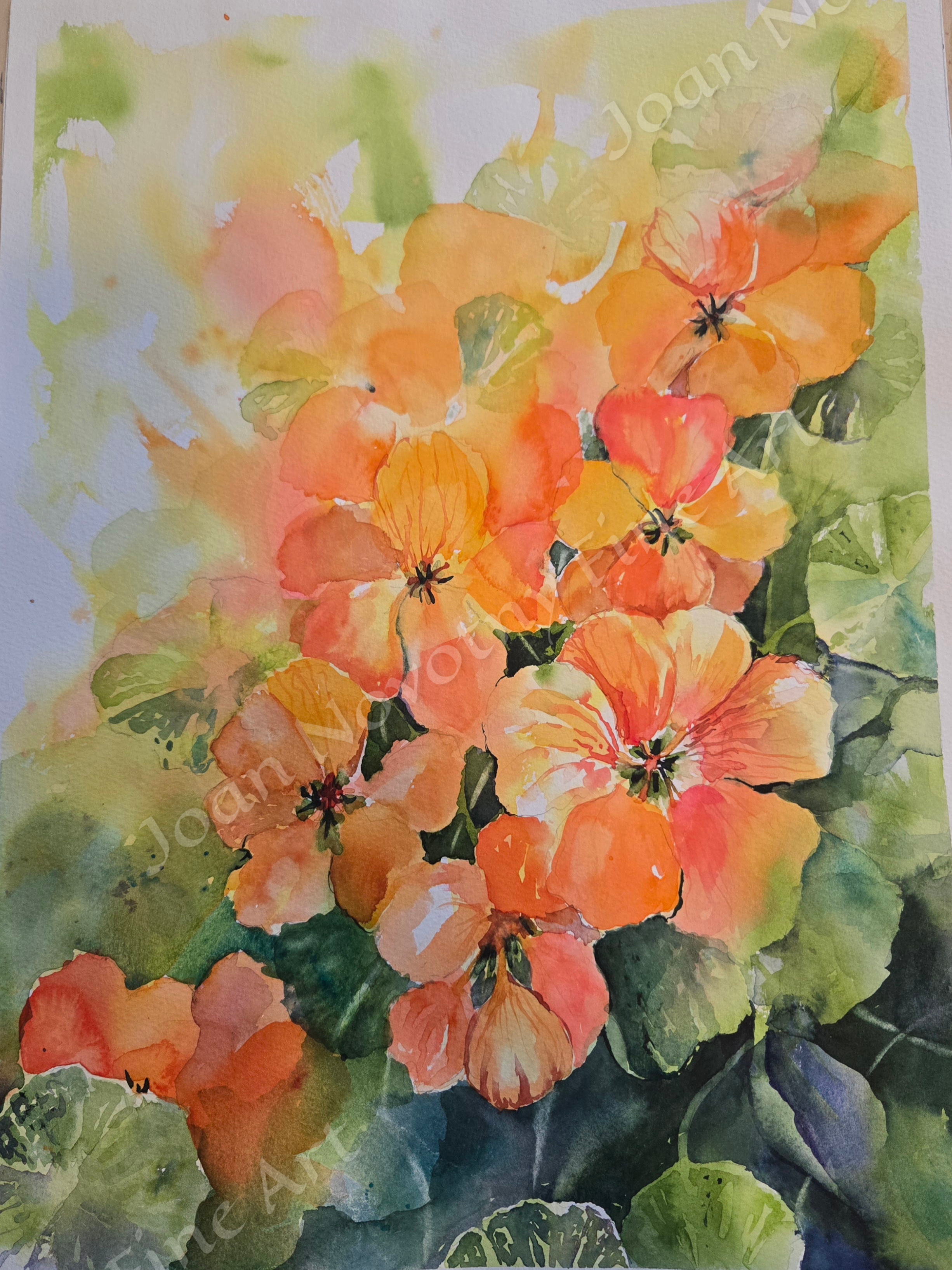 nasturtiums.png