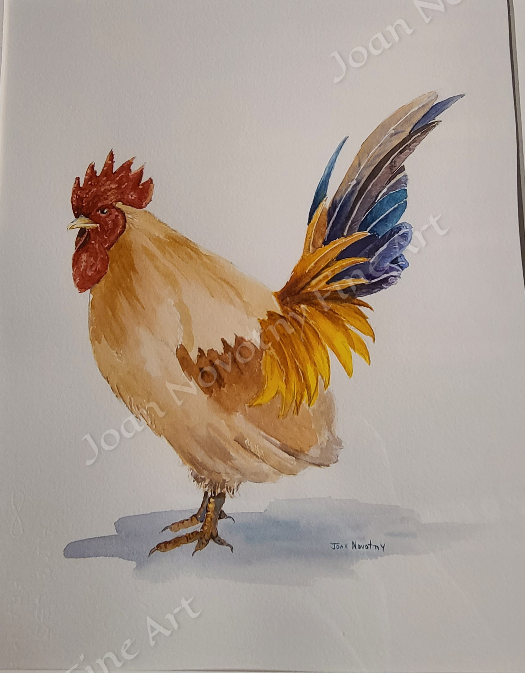 Watercolor painting of a rooster with beige feathers, red comb, and a multicolored tail including yellow, blue, and brown feathers.