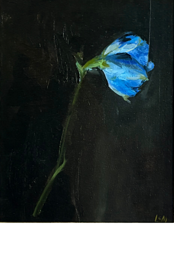 2x3 template copy 22.png