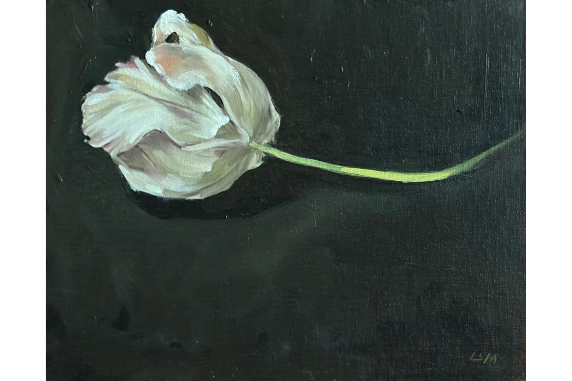 3x2 template copy 4.png