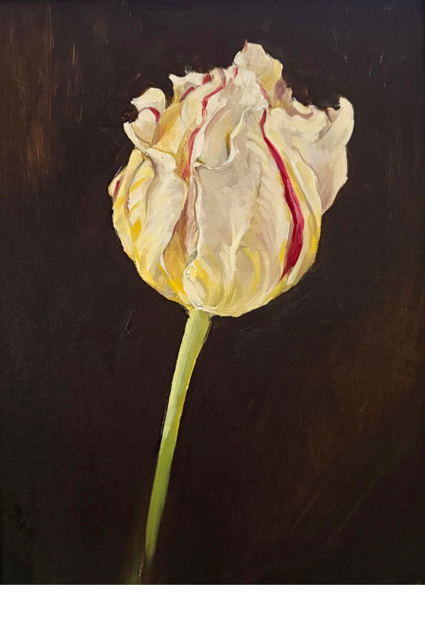 2x3 template copy 16.png