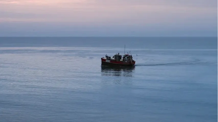 STUDIO SWINE - Sea Chair