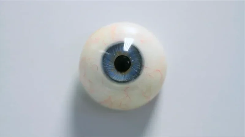 V&A - Power of Making