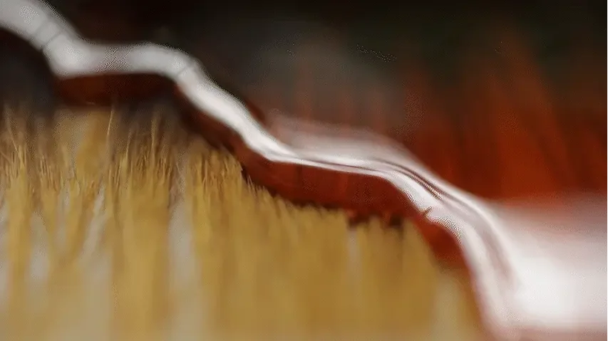 STUDIO SWINE - Hair Highway