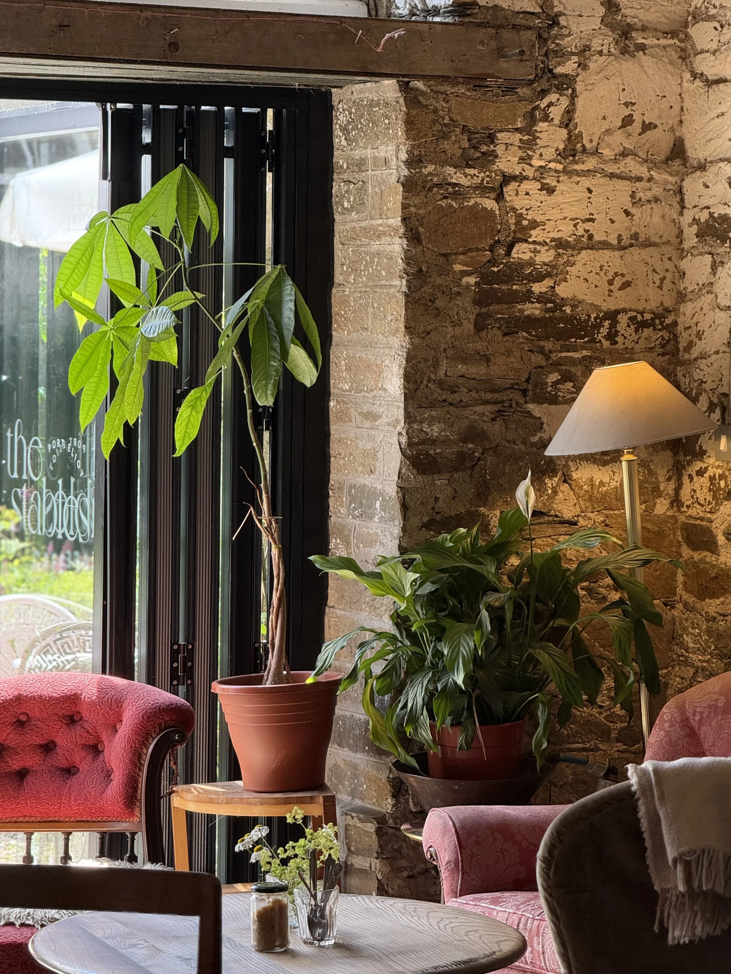 Interior of a cozy café with brick and stone walls, large windows, green plants, and vintage furniture including red velvet chairs, a wooden table with a glass of water and a candle