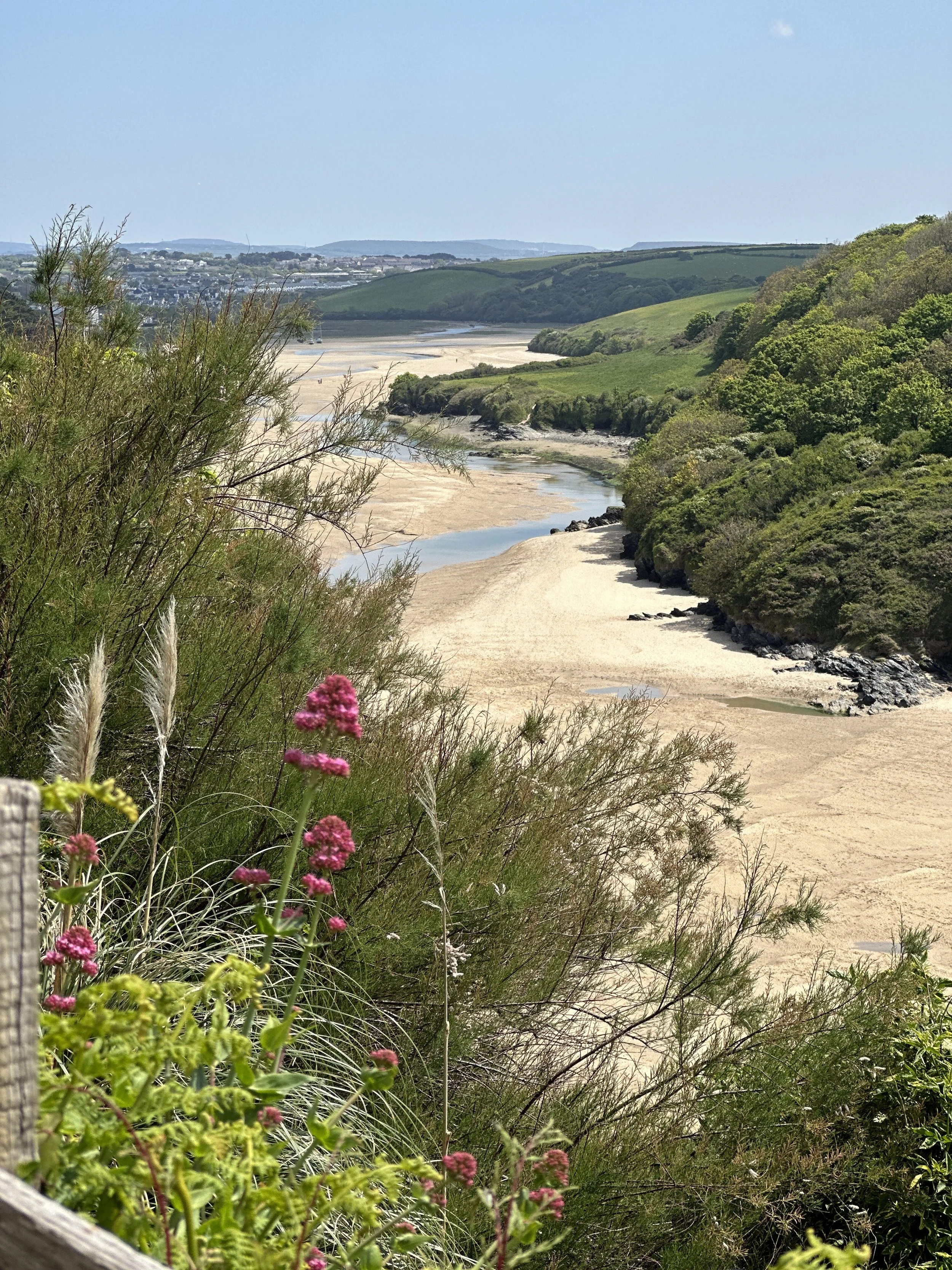 A scenic coastal landscape with sandy shores, green hills, and lush vegetation in the foreground, overlooking a distant town under a clear blue sky.
