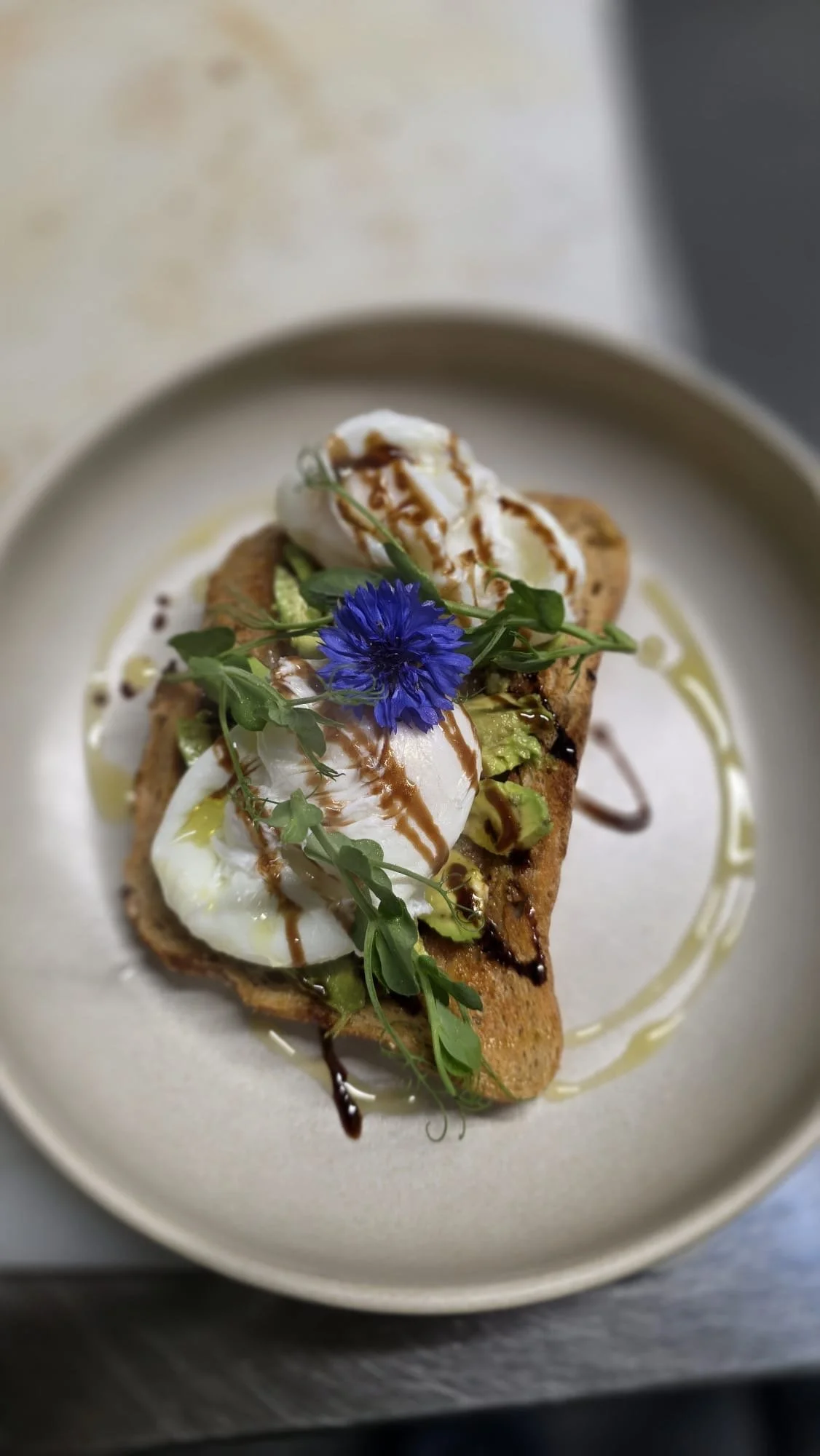 Poached egg and sliced avocado on toasted bread, garnished with a purple edible flower, microgreens, and drizzled with balsamic glaze and olive oil, served on a white plate.