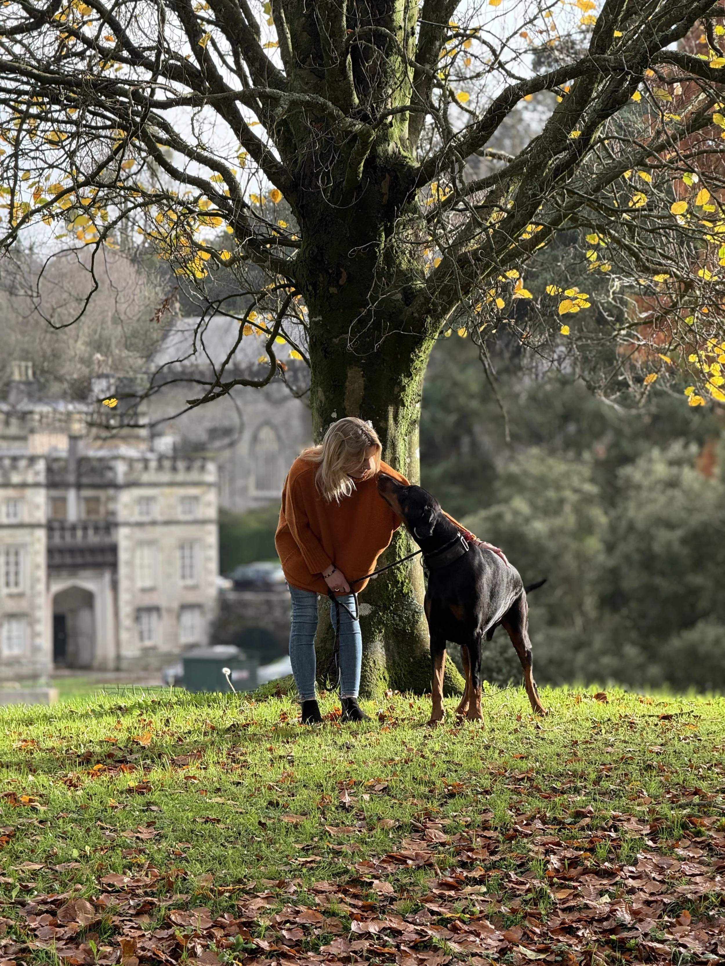 A woman with blonde hair wearing an orange sweater and jeans is standing under a large tree with leafless branches and some yellow leaves, holding the leash of a large black and brown dog. The background shows historic buildings and a river in an urb