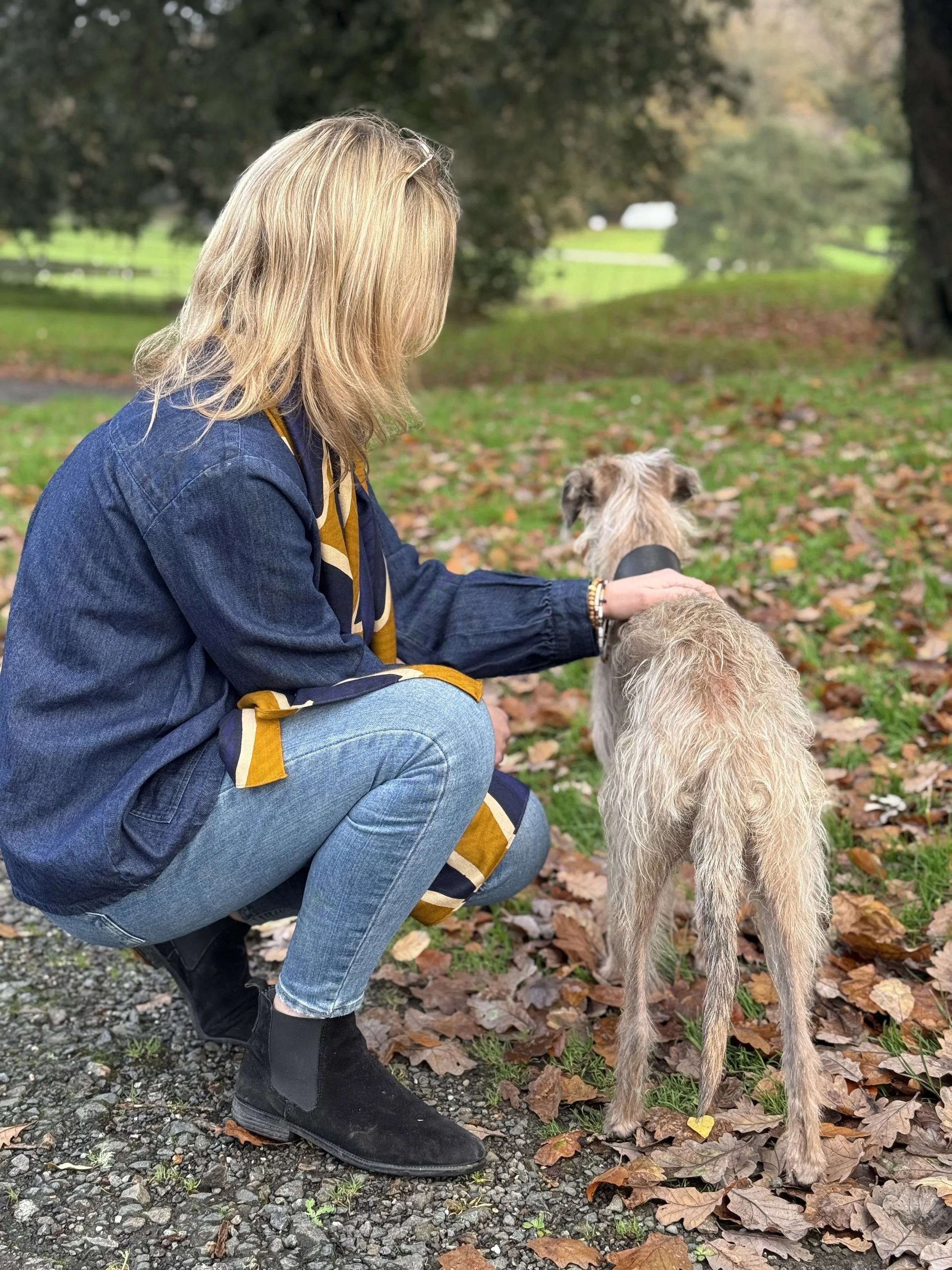 A woman kneeling on a gravel and leaf-covered ground, petting a dog in an outdoor park. The scene features trees and a grassy area in the background.