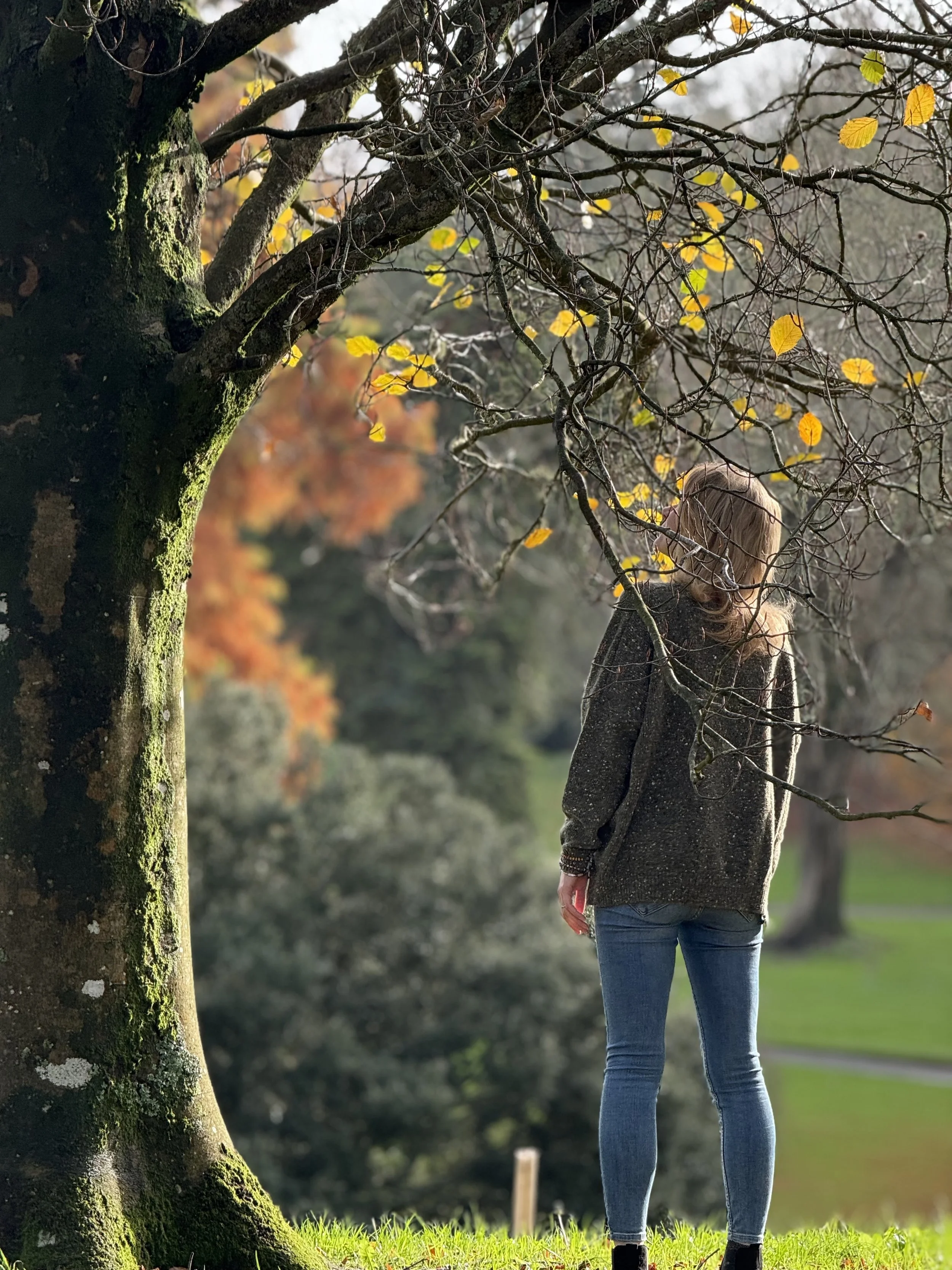 A woman in a grey coat and blue jeans walking outdoors near a moss-covered tree with yellow leaves, with a blurred background of trees and green grass.