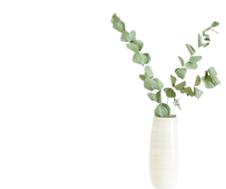 Eucalyptus branch in a white vase