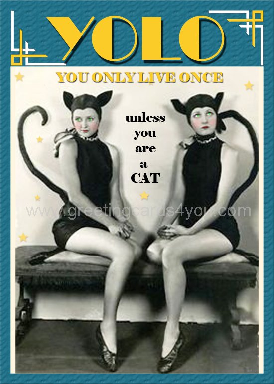 5720220004 - YOLO - Unless you are a cat!