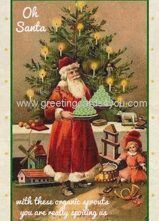 5720170030X - Santa you’re spoiling us