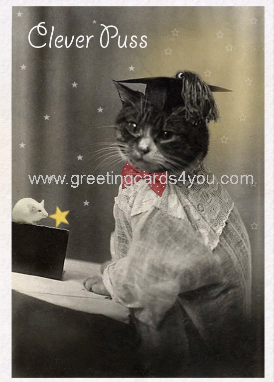 5720160013 - Clever Puss