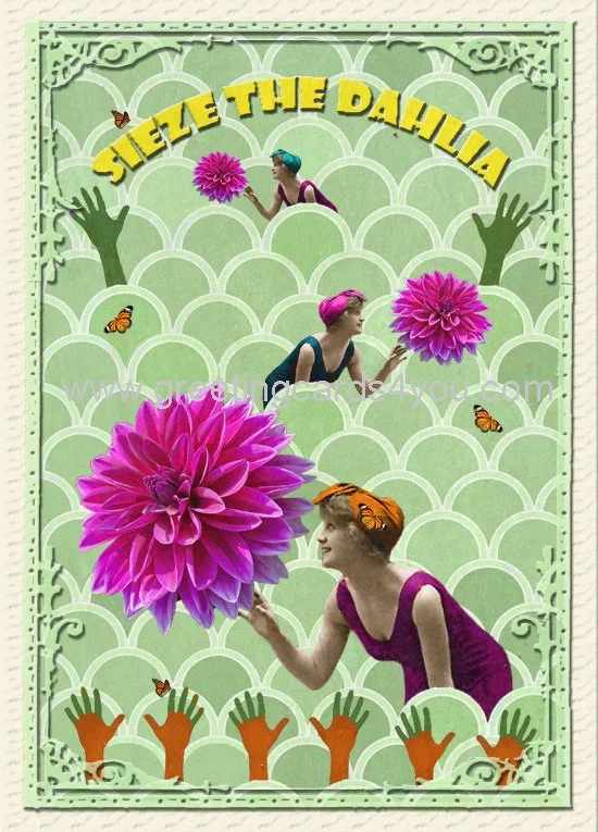 5720150031 - Sieze the Dahlia