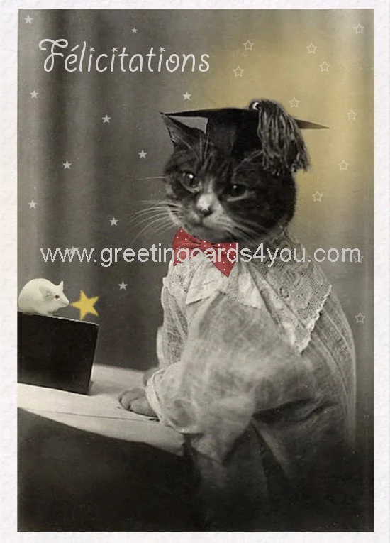 5720160013FR - Felicitacions (graduation)