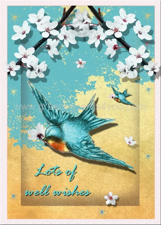 5720190016 - Lots of Well Wishes