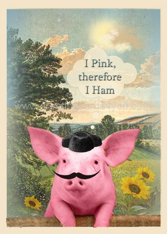 5720150028 The Philosophical Spanish Pig