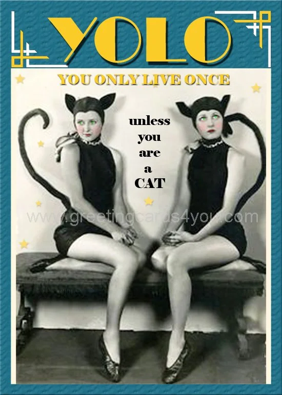 5720220004 - YOLO - Unless you are a cat!