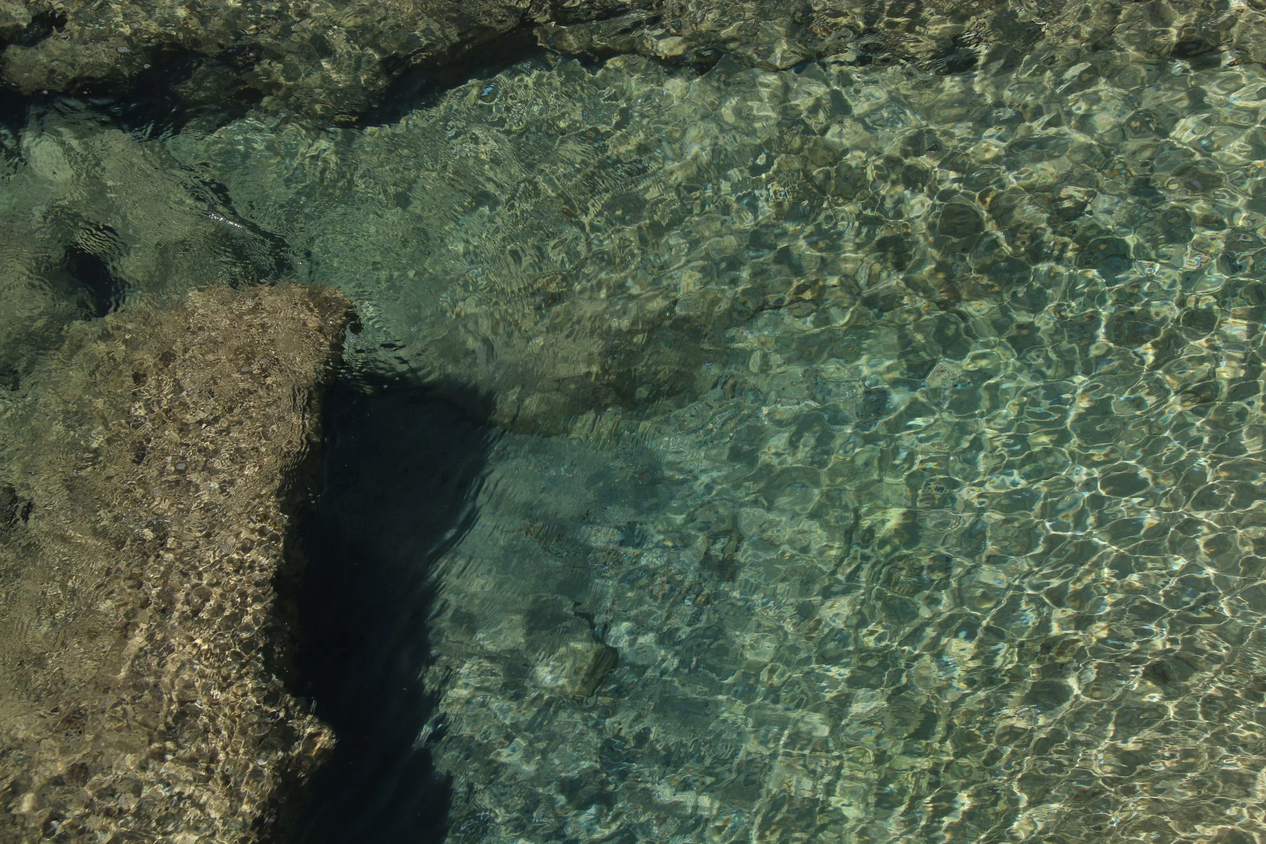 Dar Dalya summer playlist vol. I