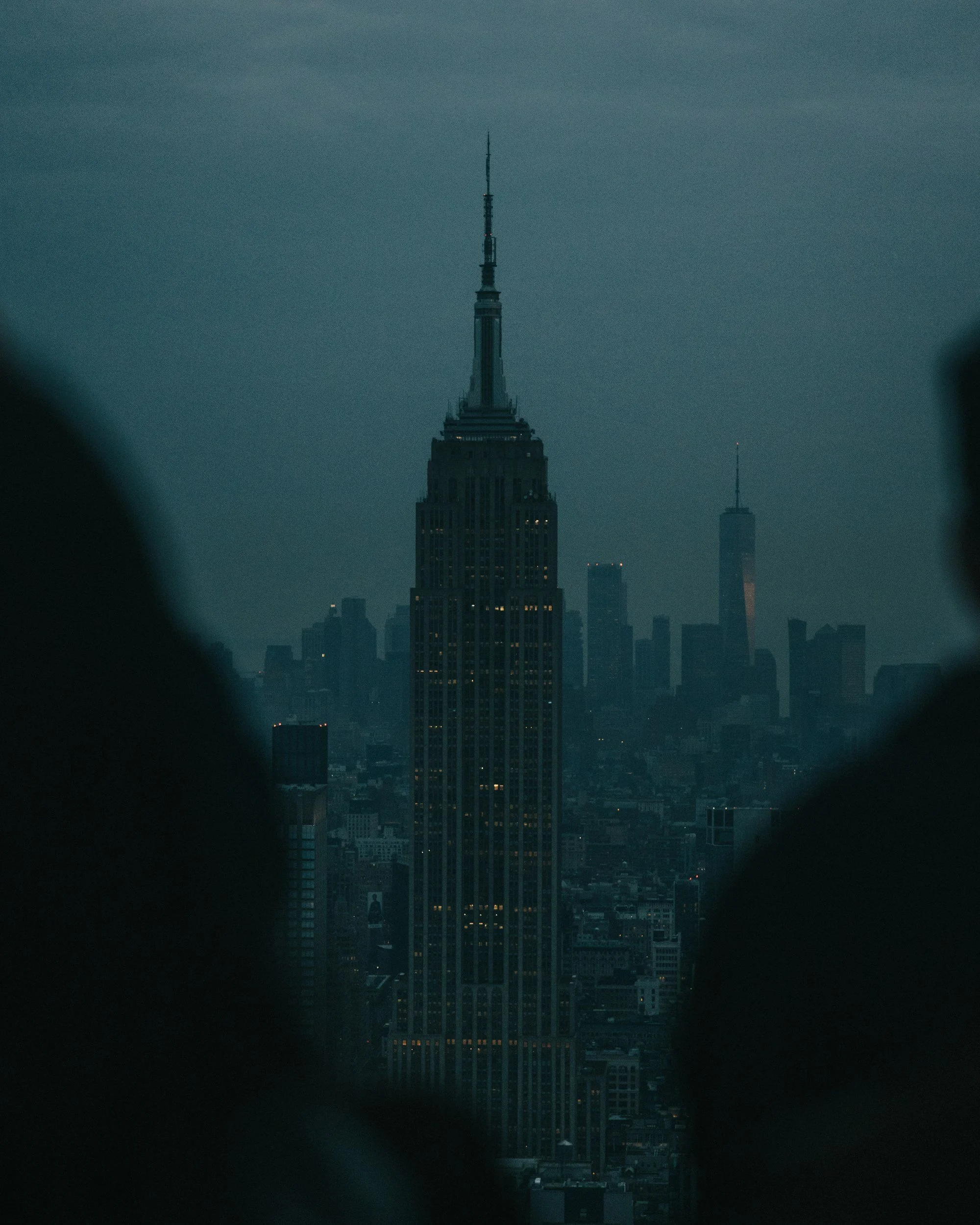 The Empire State Building in New York City seen through blurred foreground objects at dusk or dawn.