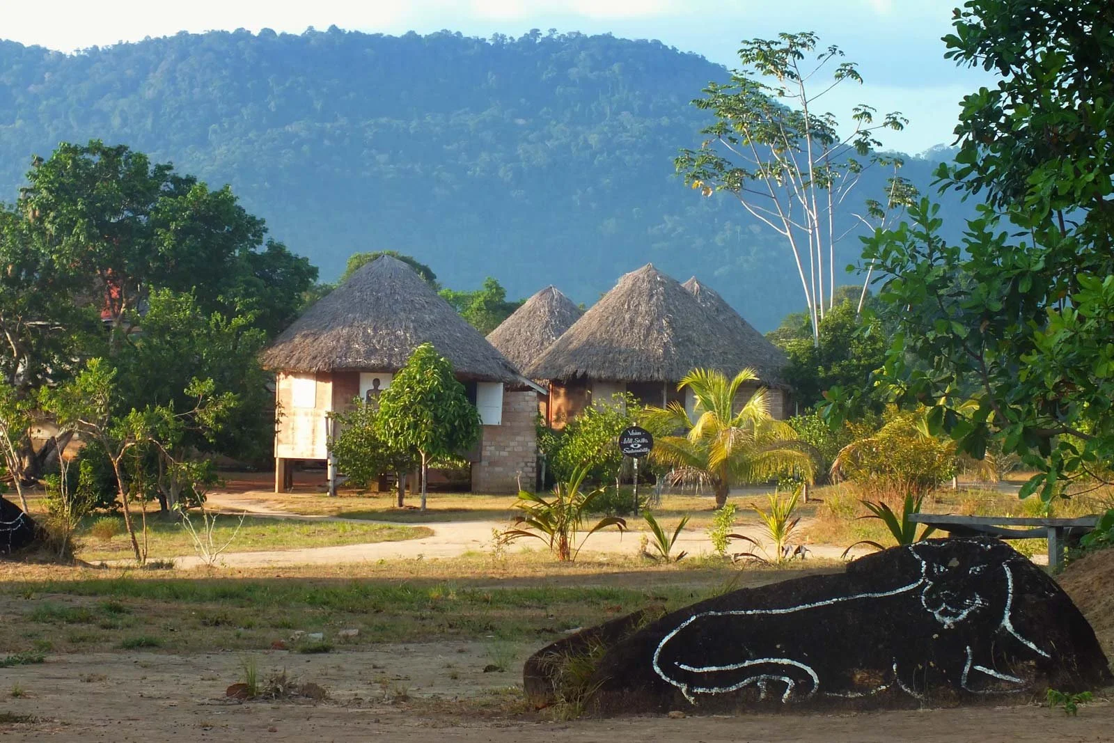 Guyana’s Green Heart