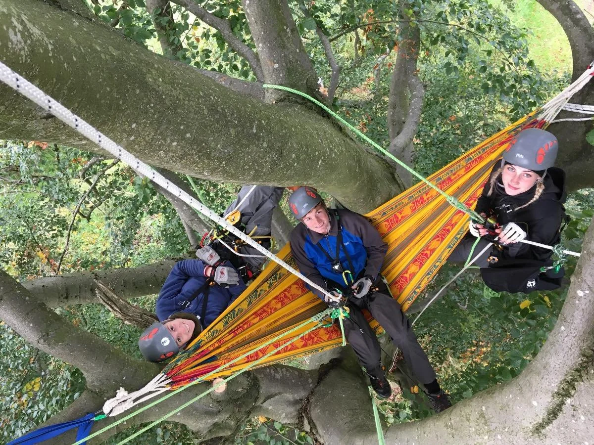 Wonderful way to end this years UK tree climbing courses
