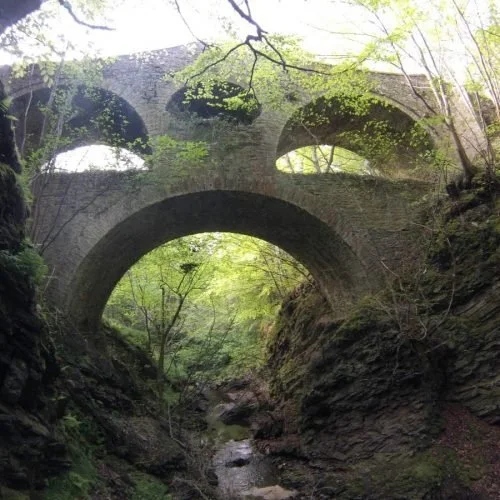 Craigmin Bridge: A Highline Traverse for Ivy Removal