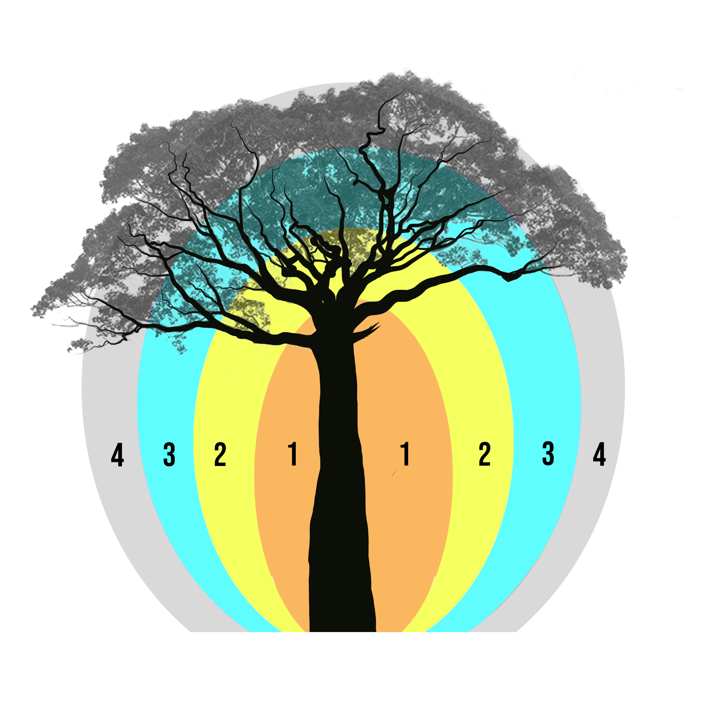 Level 1 to 3