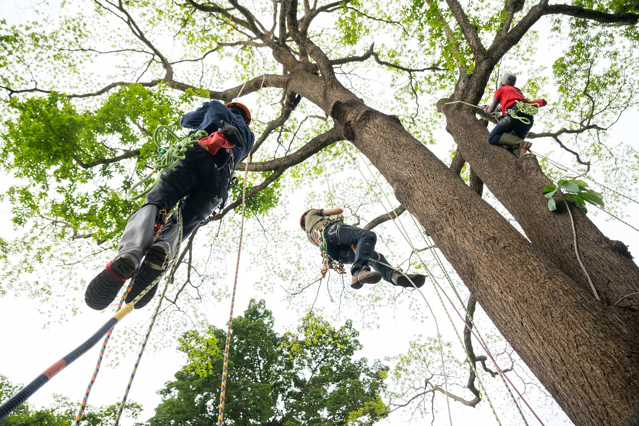 Group ascending