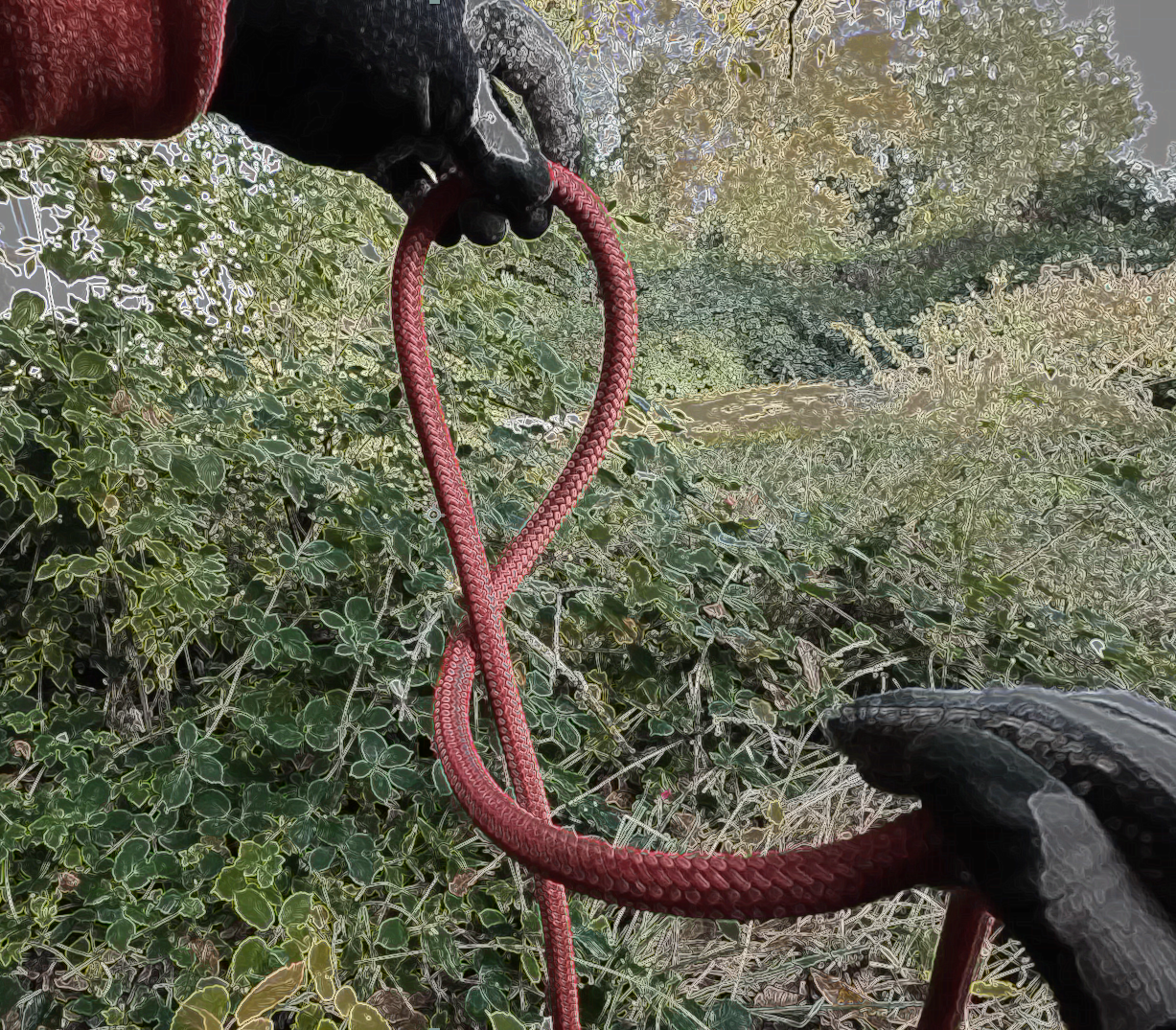 Knot video tutorials