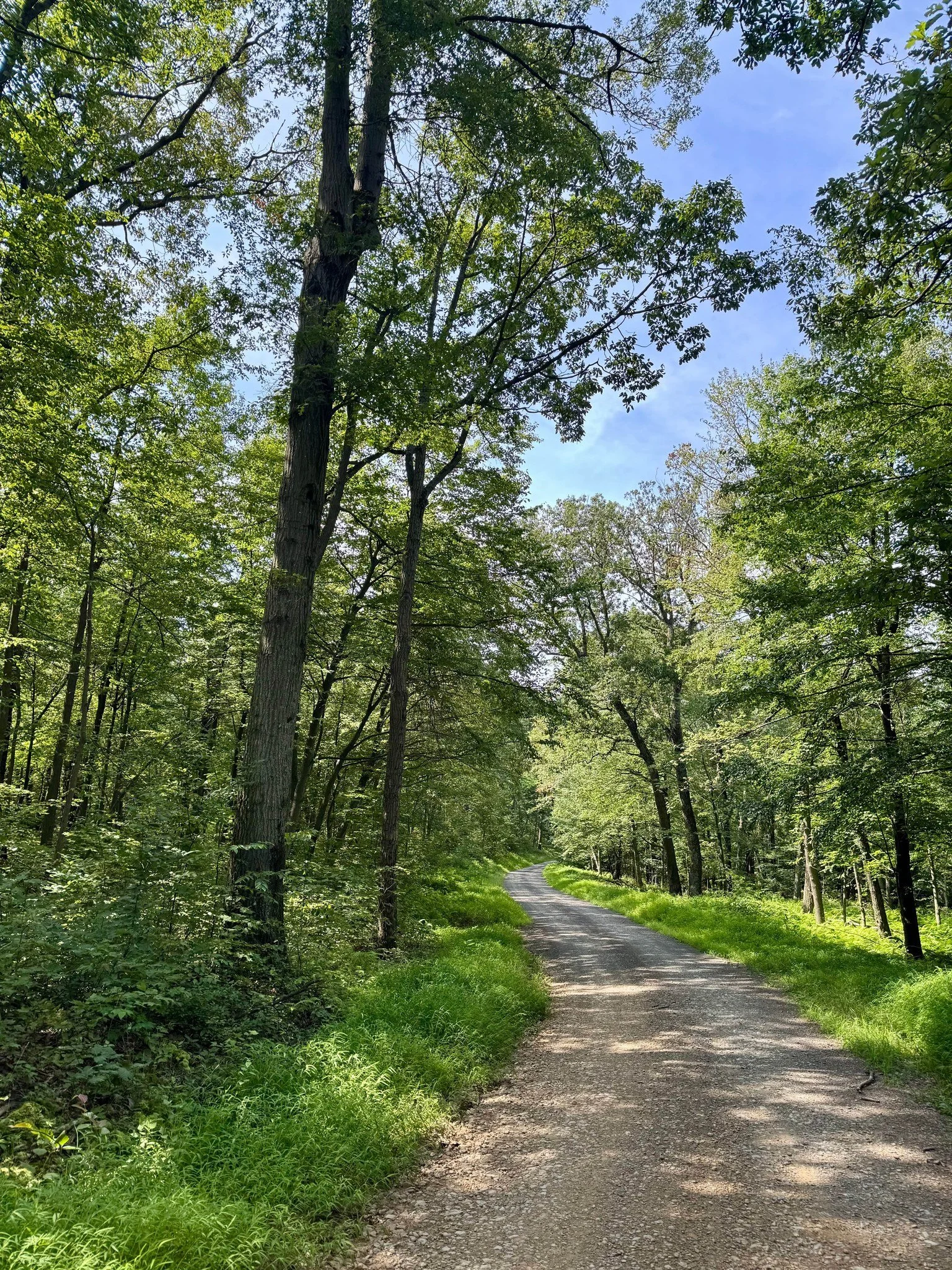 Fresh air therapy is just a short drive away! 🌳 Perfect for morning jogs, weekend walks, or pup playdates.

#CranberryTrails #OutdoorLife #MarsPA #ActiveLiving